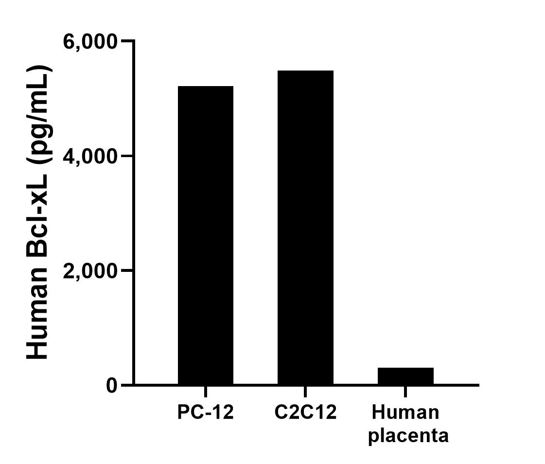 The mean Bcl-xL concentration was determined to be 5217.7 pg/mL in PC-12 cell extract. The mean Bcl-xL concentration was determined to be 5,486.2 pg/mL in C2C12 cell extract based on a 3.6 mg/mL extract load. The mean Bcl-xL concentration was determined to be 303.5 pg/mL in human placenta cell extract based on a 1.8 mg/mL extract load.